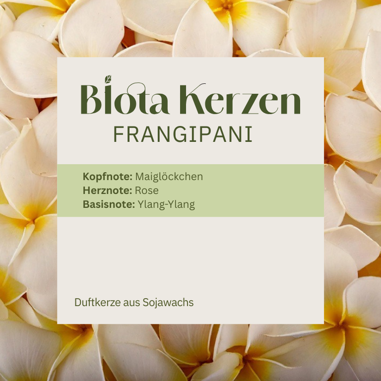 Duftbuquet Frangipani
