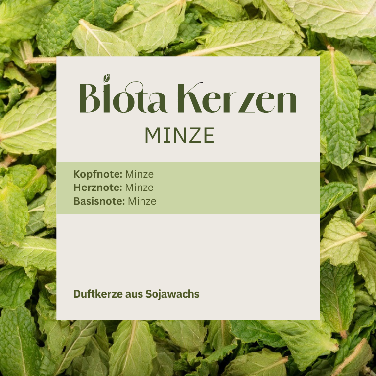 Duftbuquet Minze 