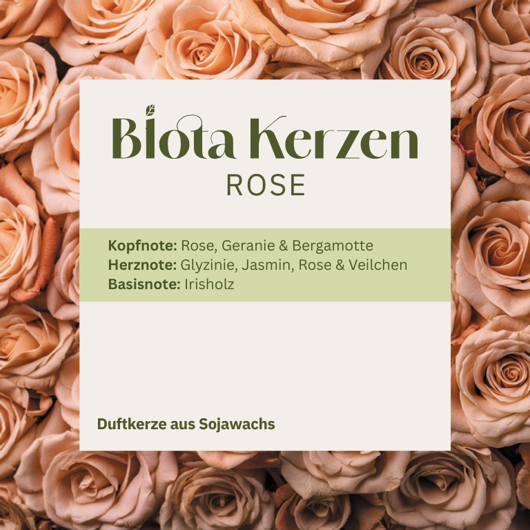 Duftbuquet Rose
