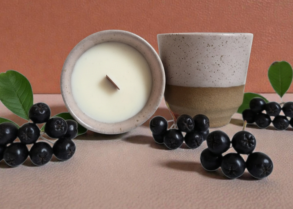 Duftkerze Aronia und Cassis