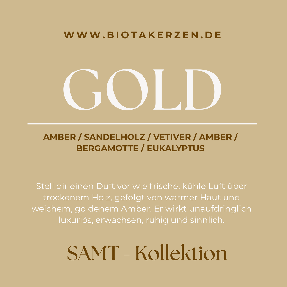 SAMT GOLD Duftkerze Infografik mit Duftnoten Amber, Sandelholz, Vetiver und Bergamotte