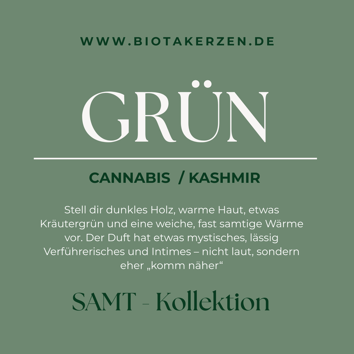 SAMT GRÜN Duftkerze Infografik mit Duftnoten Cannabis und Kashmir
